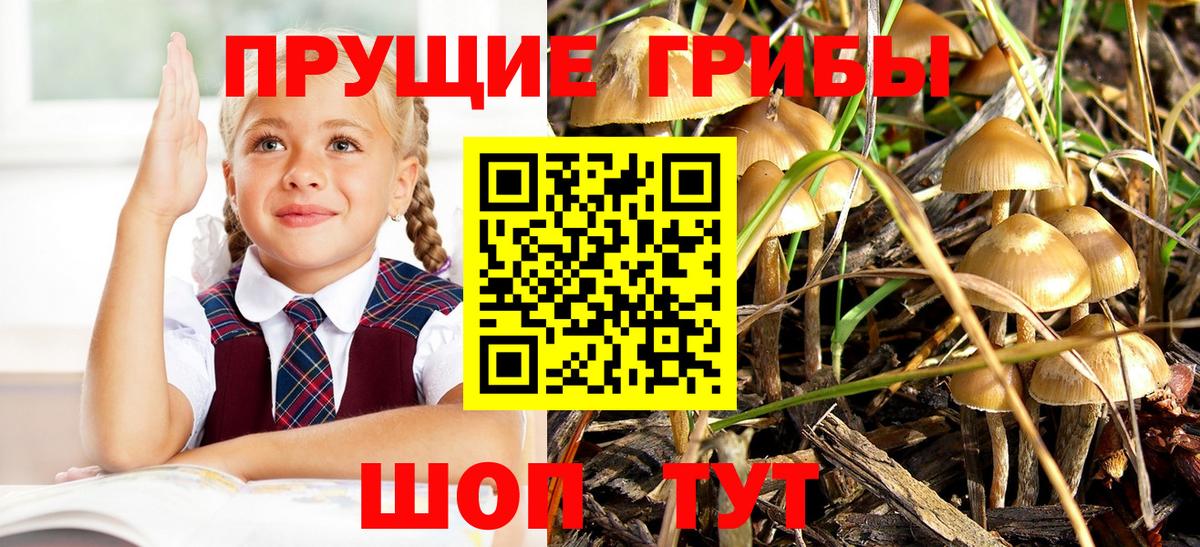 Галлюциногенные грибы ЛСД Валуйки